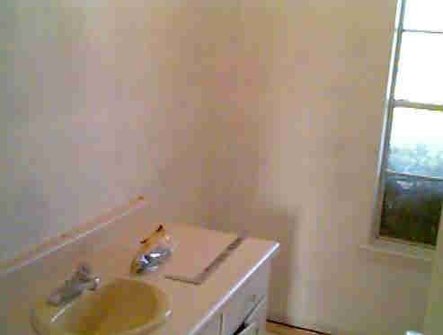 Before the Wallpaper!