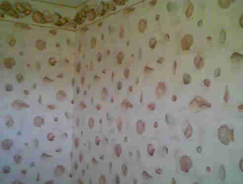 The Master Bath