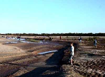 The Mud Holes were numerous and Josh Cox found every one of them!