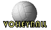 volleyballCLR.gif (7366 bytes)
