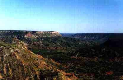 palo duro6.JPG (8387 bytes)